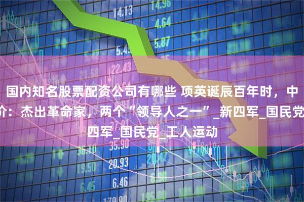 国内知名股票配资公司有哪些 项英诞辰百年时，中央客观评价：杰出革命家，两个“领导人之一”_新四军_国民党_工人运动